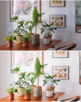 Interior Lightroom Presets