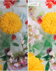 Artisan Lightroom Presets