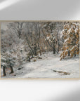 Vintage Winter Landscape Art Print L0119