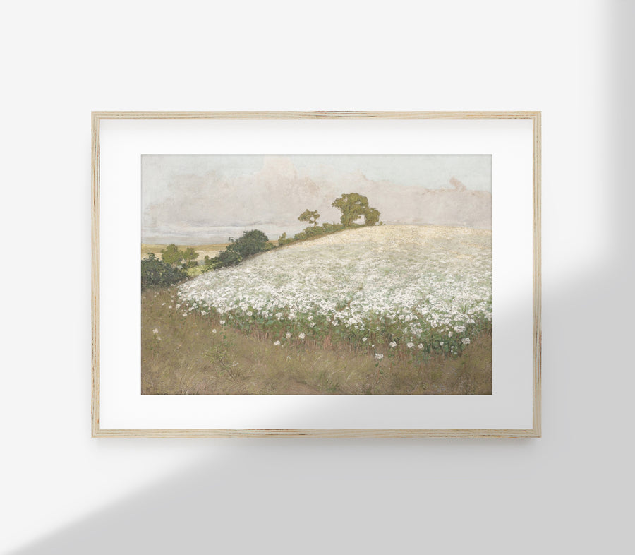 Vintage Floral Fields Landscape Art Print L0215
